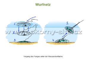 Bild von Wurfnetz - Masche 15 mm