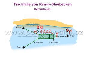 Bild von Fischfalle von Rimov-Staubecken, Ring 0,6 m