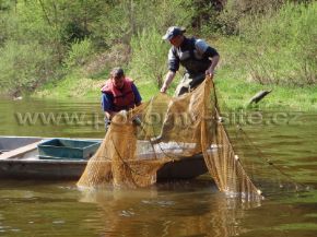 Bild von Fischfalle von Wolfgangsee, Masche 15 mm