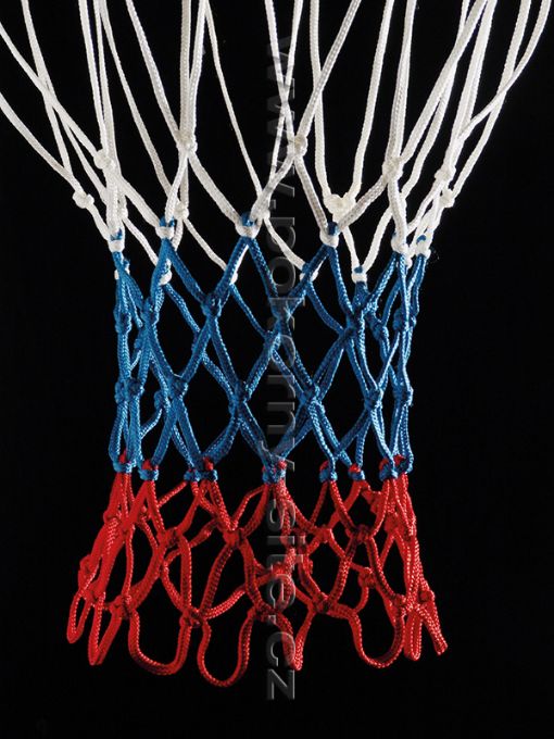 Bild von Basketballnetz STANDARD farbig
